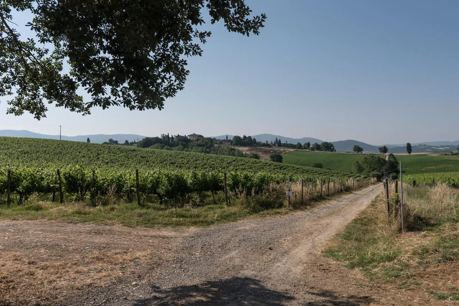 Bauernhof Agriturismo Tenuta Di Mensanello Colle di Val d'Elsa